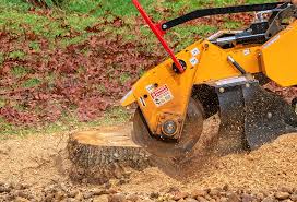 Trusted Ruidoso Downs, NM Tree Care Experts